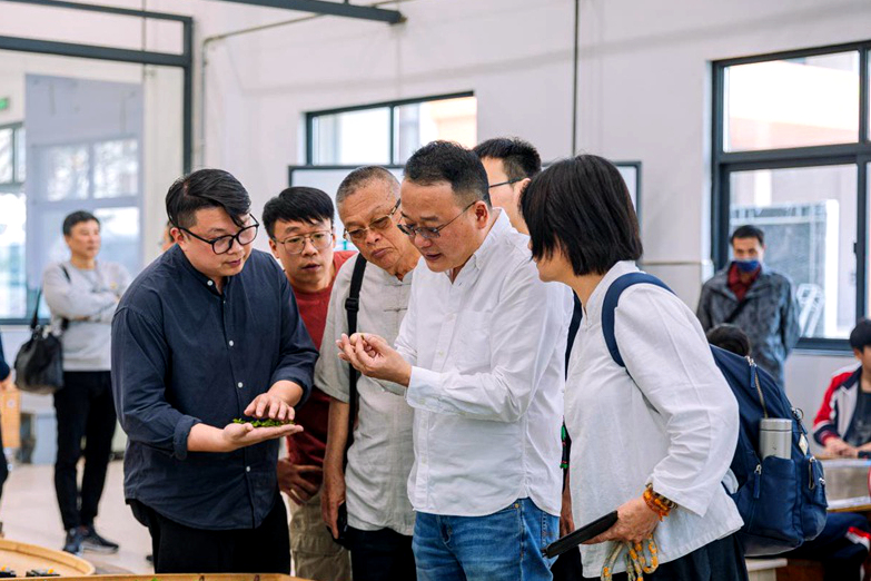臺灣茶協會40余位臺胞蒞臨浙江省松陽縣考察交流