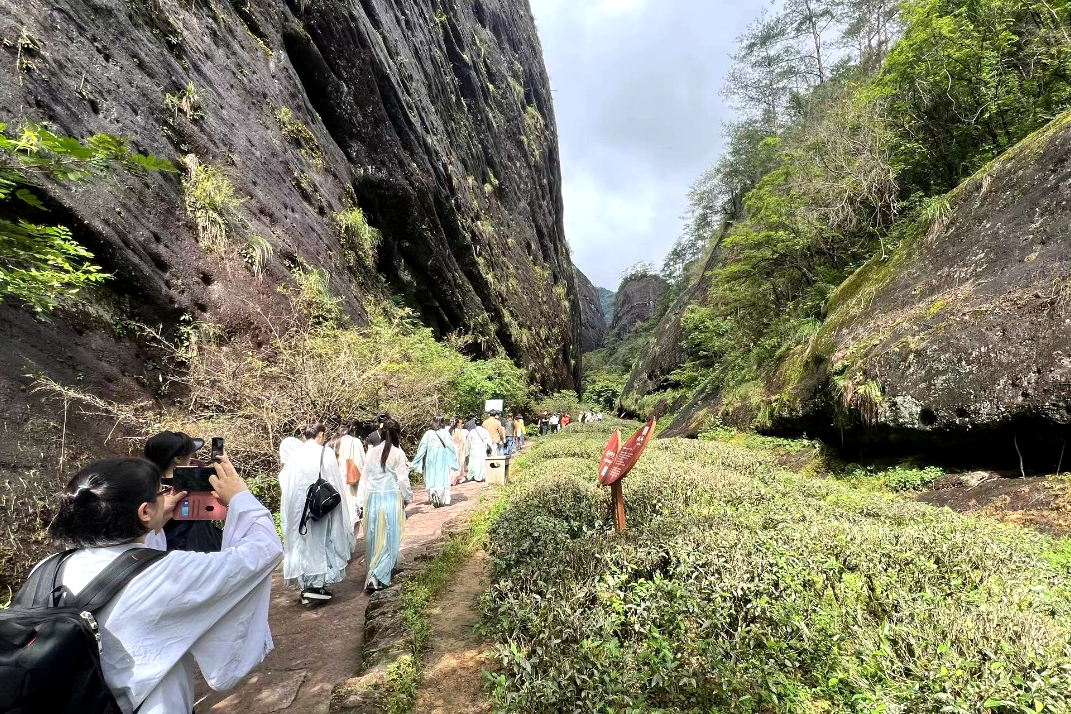 “親，來品茶”兩岸青年武夷山打卡
