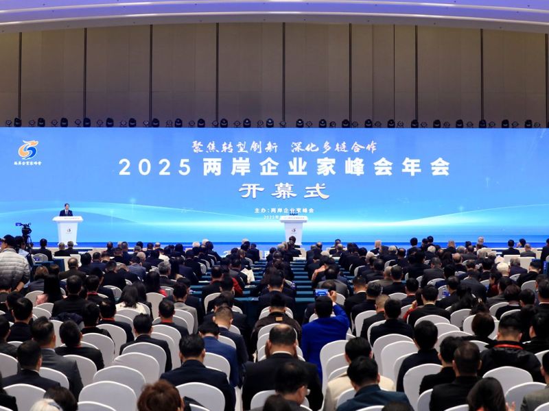 2025兩岸企業家峰會年會在江蘇南京開幕